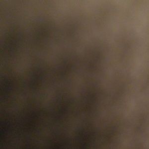 Meet your Posher, Walter